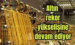 Altın rekor yükselişine devam ediyor