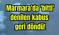 Marmara'da 'bitti' denilen kabus geri döndü (Video)