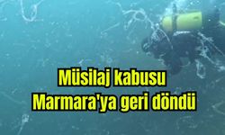 Müsilaj kabusu Marmara'ya geri döndü (Video)