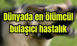 Dünyada en ölümcül bulaşıcı hastalık