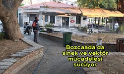 Bozcaada’da sinek ve vektör mücadelesi sürüyor
