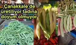 Çanakkale’de üretiliyor tadına doyum olmuyor