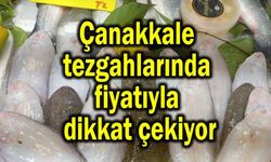 Çanakkale tezgahlarında fiyatıyla dikkat çekiyor