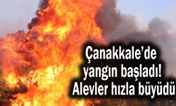 Çanakkale’de yangın başladı! Alevler hızla büyüdü
