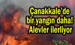 Çanakkale’de bir yangın daha! Alevler ilerliyor