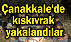 Çanakkale'de kıskıvrak yakalandılar