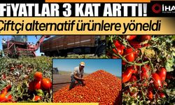 Domateste fiyatlar 3 kat arttı (Video)
