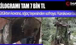 El değmeden üretilen bal rekora koşuyor (Video)