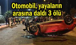 Otomobil, yayaların arasına daldı 3 ölü