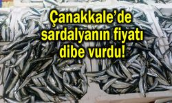 Çanakkale’de sardalyanın fiyatı dibe vurdu!