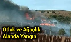Otluk ve ağaçlık alanda yangın