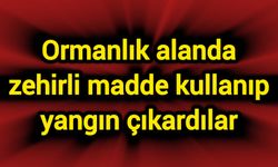 Ormanlık alanda zehirli madde kullanıp yangın çıkardılar