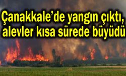 Çanakkale’de yangın çıktı, alevler kısa sürede büyüdü