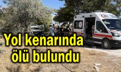 Yol kenarında ölü bulundu