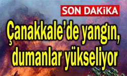 Çanakkale’de yangın, dumanlar yükseliyor