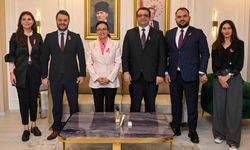 Uludağ Elektrik’ten meme kanserine karşı "Pembe Farkındalık"