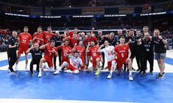 A Milli Erkek Voleybol Takımı'nın rakipleri belli oldu