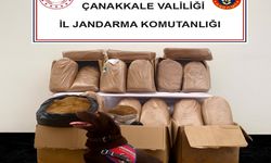 Çanakkale'de kaçakçılık operasyonu