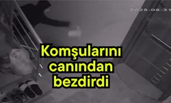 Komşularını canından bezdirdi
