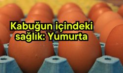 Kabuğun içindeki sağlık: Yumurta