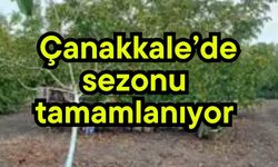 Çanakkale'de sezonu tamamlanıyor