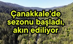 Çanakkale'de sezonu başladı, akın ediliyor