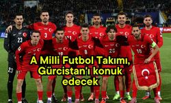 A Milli Futbol Takımı, Gürcistan'ı konuk edecek