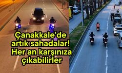 Çanakkale'de artık sahadalar! Her an karşınıza çıkabilirler