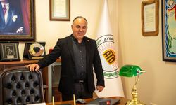 Zeytinyağında rekolte beklentisi 250 bin ton