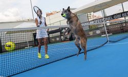 Milli Tenisçi Büyükakçay, patili dostu ile tenis oynadı