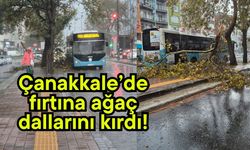 Çanakkale’de fırtına ağaç dallarını kırdı!