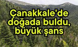 Çanakkale'de doğada buldu, büyük şans