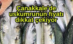 Çanakkale'de uskumrunun fiyatı dikkat çekiyor
