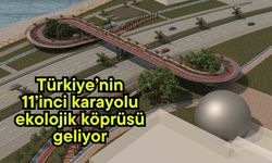 Türkiye’nin 11’inci karayolu ekolojik köprüsü geliyor