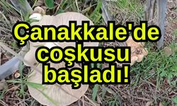 Çanakkale'de coşkusu başladı!