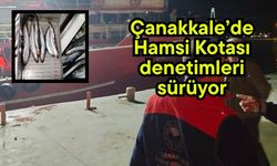 Çanakkale’de hamsi kotası denetimleri sürüyor