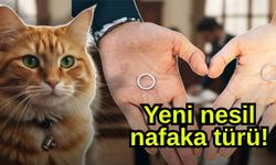 Yeni nesil nafaka türü!