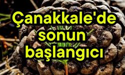 Çanakkale'de sonun başlangıcı