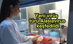 Yeni virüs türü Alasiavirus keşfedildi