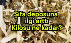 Şifa deposuna ilgi arttı