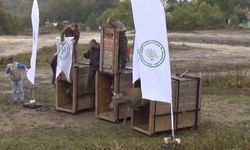 3 kızıl geyik, doğal yaşam alanına kavuştu