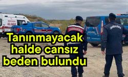 Tanınmayacak halde cansız beden bulundu