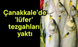 Çanakkale’de 'lüfer' tezgahları yaktı