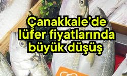 Çanakkale’de lüfer fiyatlarında büyük düşüş