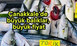 Çanakkale'de büyük balıklar, büyük fiyat