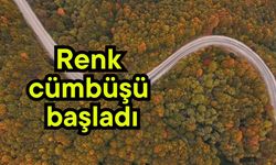 Renk cümbüşü başladı (Video)