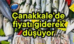 Çanakkale'de fiyatı giderek düşüyor