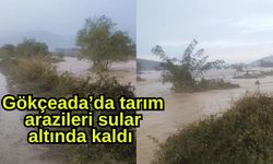 Gökçeada’da tarım arazileri sular altında kaldı
