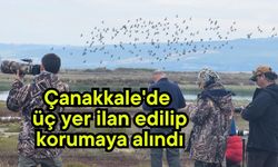 Çanakkale'de üç yer ilan edilip korumaya alındı