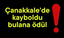 Çanakkale'de kayboldu, bulana ödül